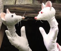 <em>Town Mouse and Country Mouse</em> (2013) par le Hand to Mouth Theatre (New Forest, Royaume-Uni), mise en scène : Su Eaton, conception et fabrication de marionnettes : Martin Bridle et Sue Eaton. Marionnettes à gaine. Photo: Su Eaton